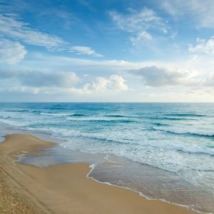 Meet your Posher, Thierry